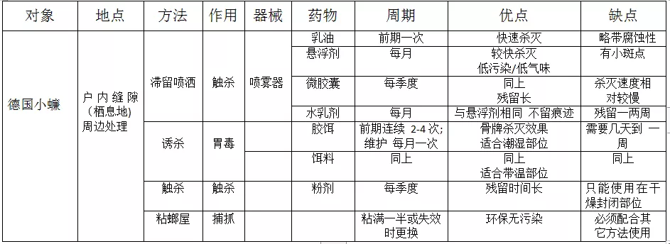 另人聞風(fēng)喪膽的德國小蠊，如何科學(xué)地消滅它